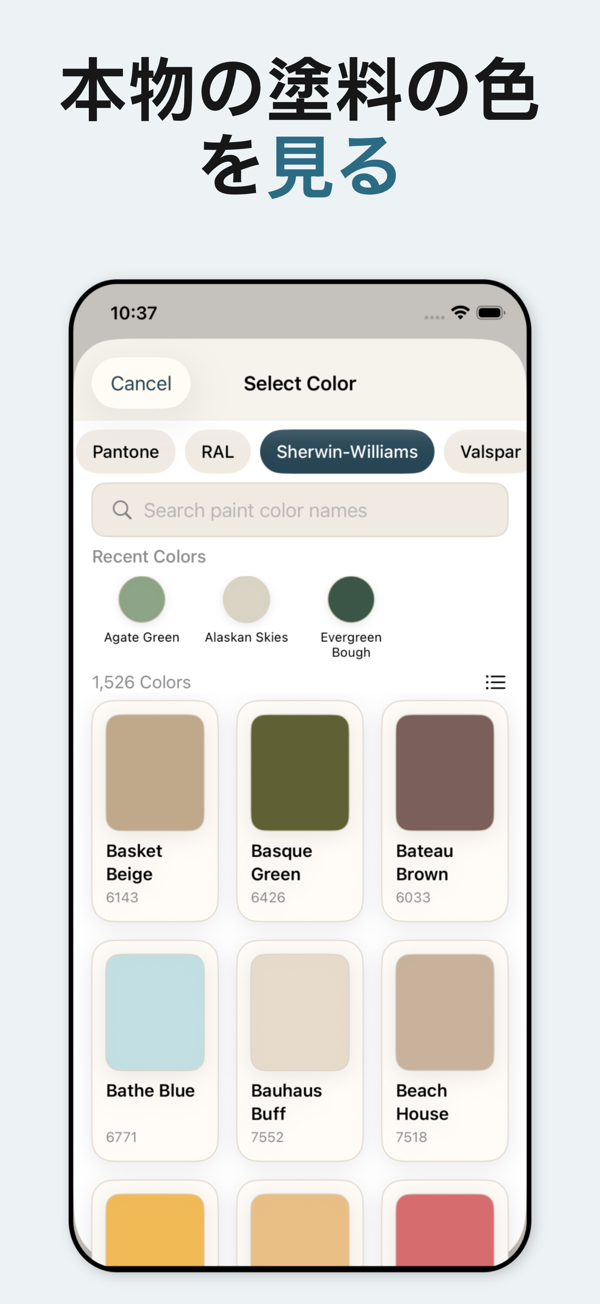 Paint Color Visualizer - Color selection